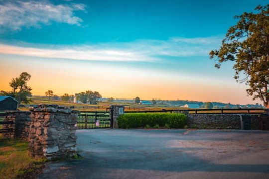 A stone gate and plank fence on a Bluegrass horse farm at sunrise